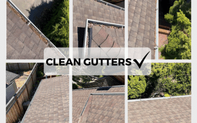 Winter Home Maintenance Checklist for the Bay Area